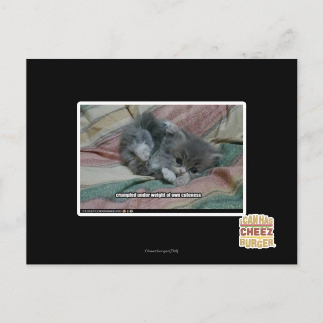 Weight of own cuteness postcard (Front)