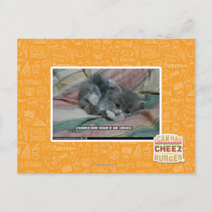 Weight of own cuteness postcard