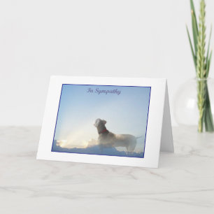Weim Sympathy Card