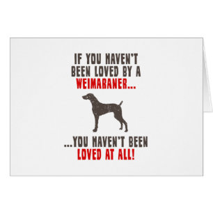 Weimaraner