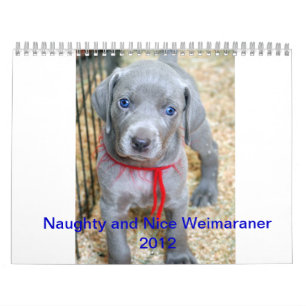 weimaraner 2012 calendar