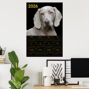Weimaraner 2026 Calendar Poster