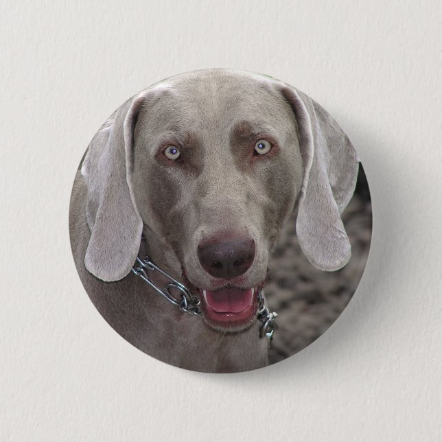 Weimaraner 2 Inch Round Button (Front)