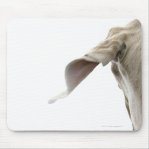 Weimaraner 2 mouse pad