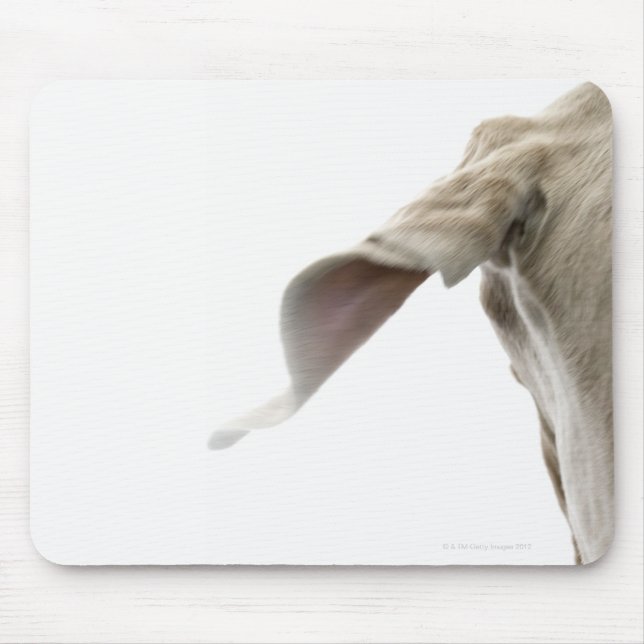 Weimaraner 2 mouse pad (Front)