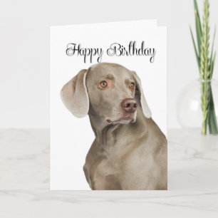 Weimaraner Birthday Card