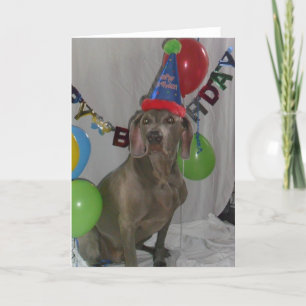 Weimaraner Birthday Greetings Card