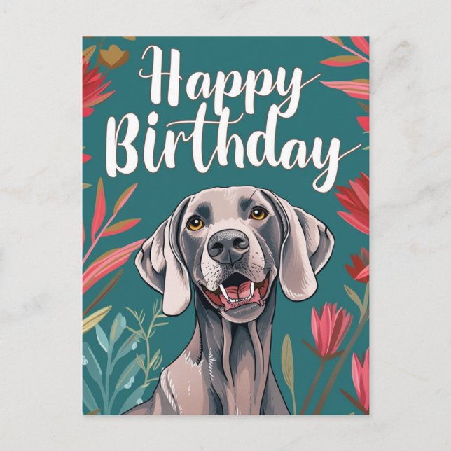 Weimaraner Birthday Postcard (Front)