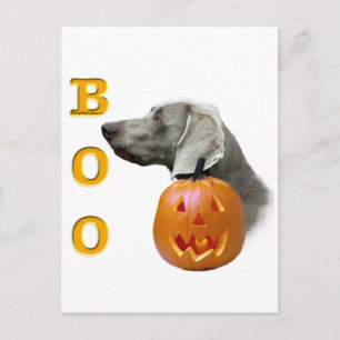 Weimaraner Boo Postcard