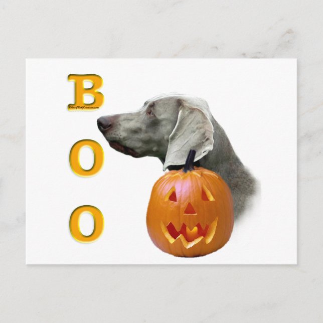 Weimaraner Boo Postcard (Front)