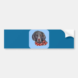 Weimaraner Bumper Sticker