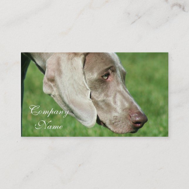 Weimaraner Business Cards (Front)