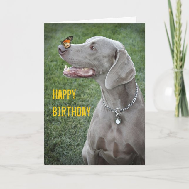 Weimaraner & Butterfly Card (Front)