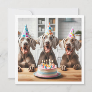 Weimaraner card, Weimaraner birthday Invitation
