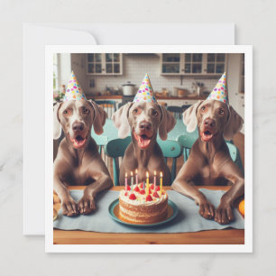 Weimaraner card, Weimaraner birthday Invitation