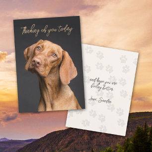Weimaraner Chien pensant à votre carte