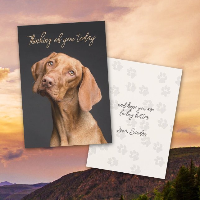 Weimaraner Chien pensant à votre carte (Créateur téléchargé)