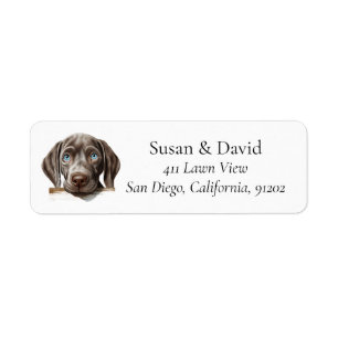Weimaraner Chien race Amateurs d'animaux domestiqu