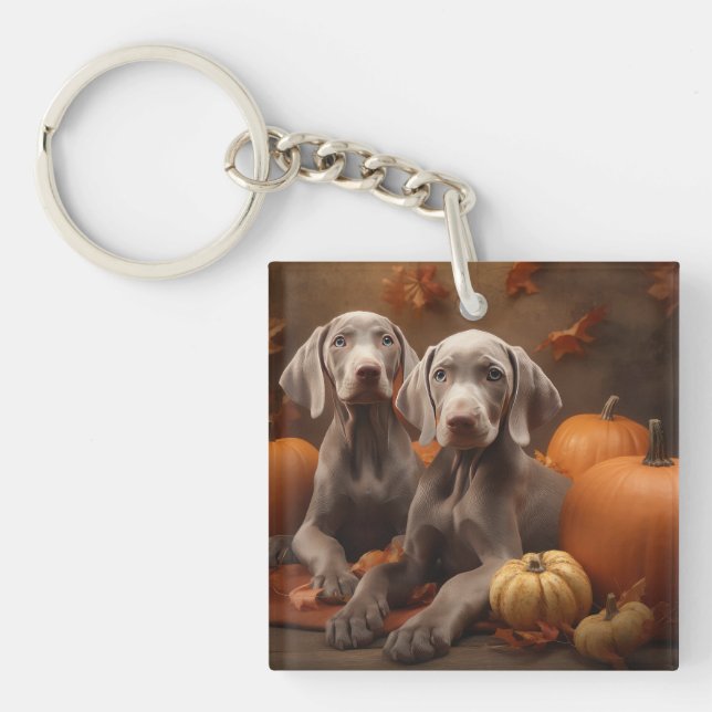 Weimaraner Chiot Automne Citrouille délice (Devant)