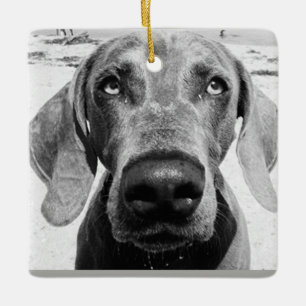 ***WEIMARANER*** CHRISMAS ORNAMENT