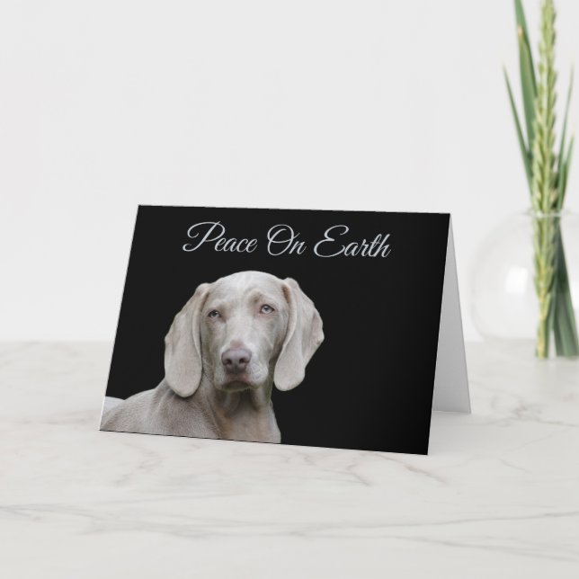Weimaraner Christmas Holiday Card (Front)