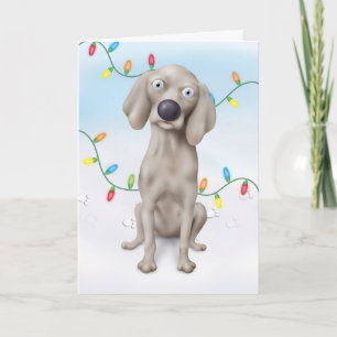 Weimaraner Christmas Holiday Card