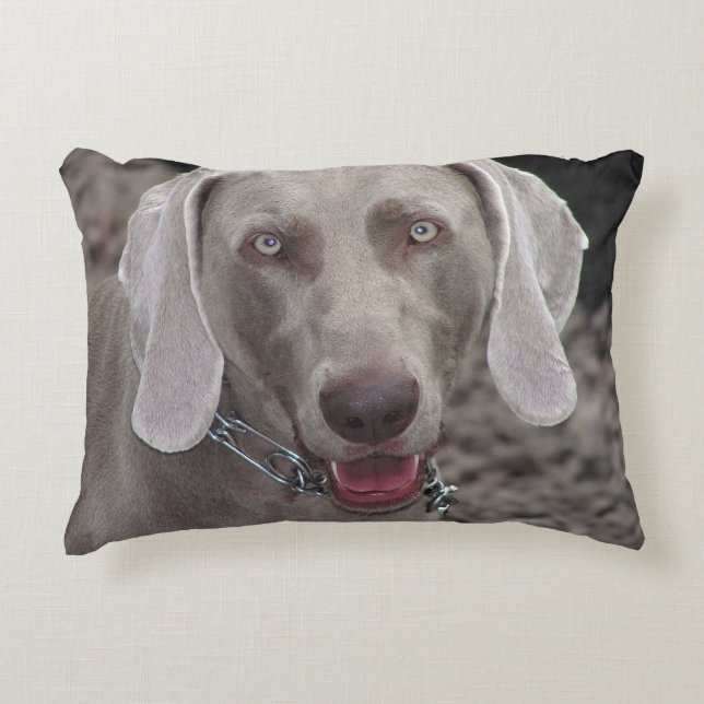 Weimaraner Decorative Pillow (Front)