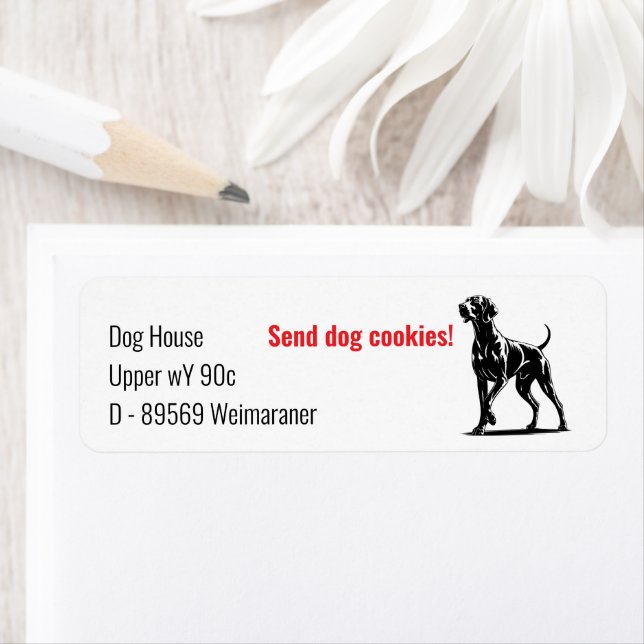 Weimaraner Dog  (Insitu)