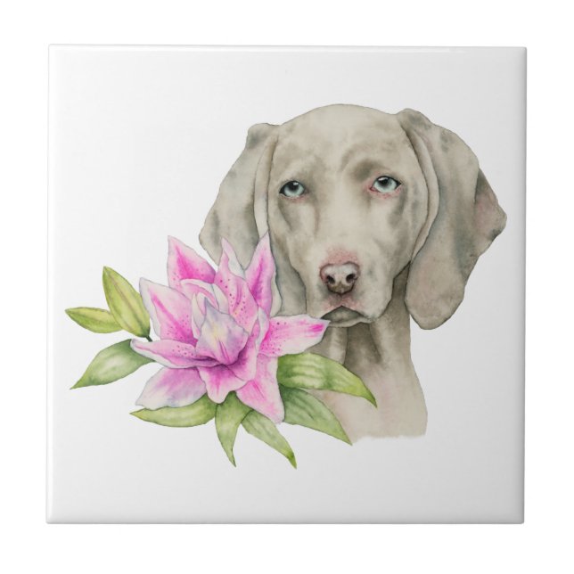 Weimaraner Dog and Lily Watercolor Painting Tile (Front)