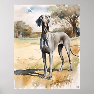 Weimaraner - Dog Art Print