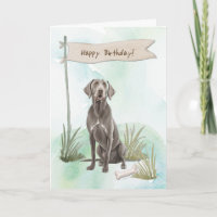 Weimaraner Dog Breed Outdoors Under Birthday Sign
