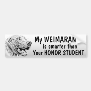 Weimaraner dog bumper sticker