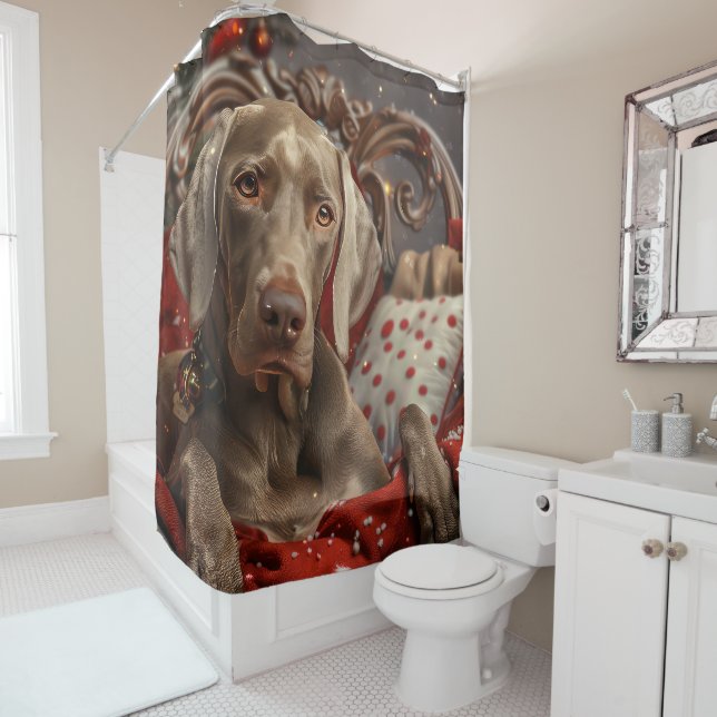 Weimaraner Dog Christmas Festive (In Situ)