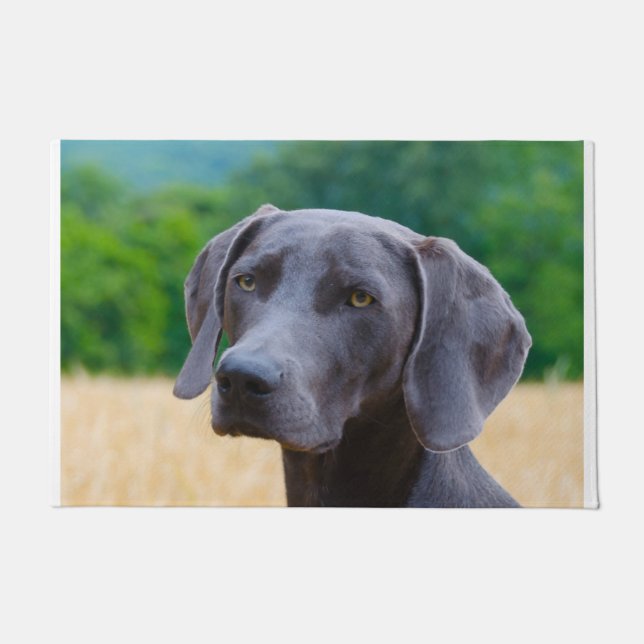 Weimaraner Dog. Doormat (Front)