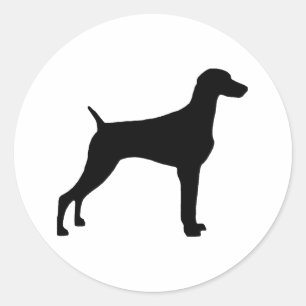Weimaraner Dog (in black) Classic Round Sticker