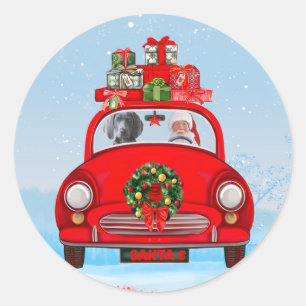 Weimaraner Dog In Car With Santa Claus Classic Round Sticker
