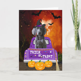 weimaraner Dog in Halloween Truck Card