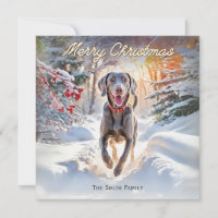Weimaraner Dog In Snow Merry Christmas
