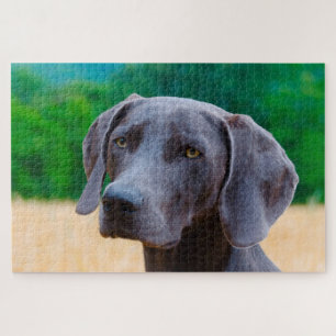 Weimaraner Dog Jigsaws. Jigsaw Puzzle