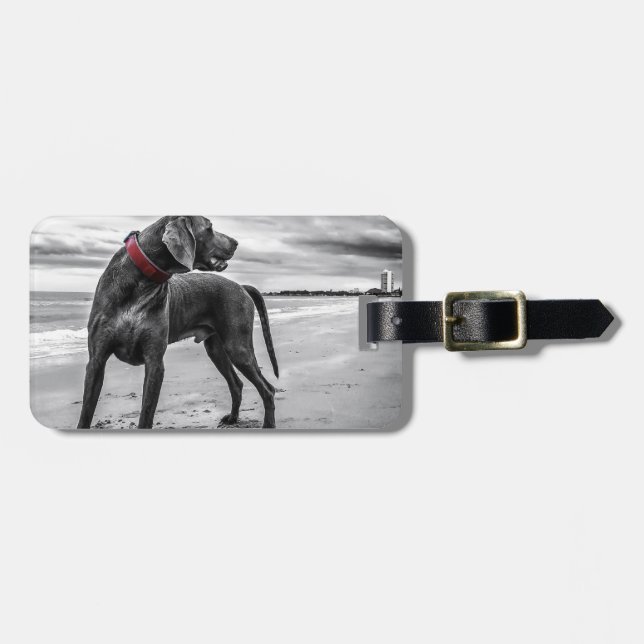 Weimaraner Dog Luggage Tag (Front Horizontal)
