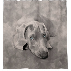 Weimaraner Dog Mixed Media