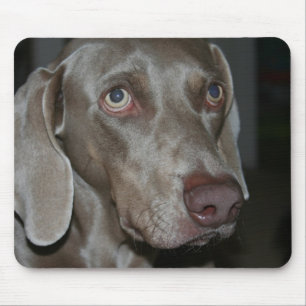 Weimaraner Dog Mouse Pad