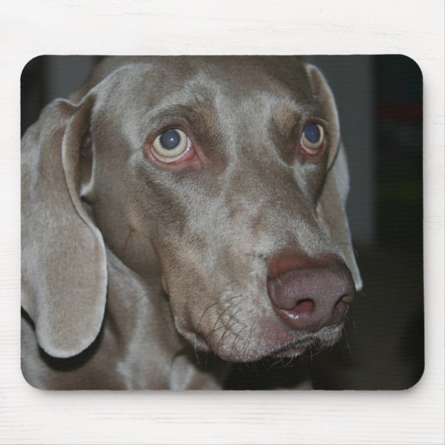 Weimaraner Dog Mouse Pad (Front)
