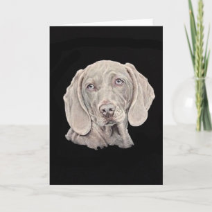 Weimaraner dog on black. card