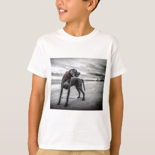 Weimaraner Dog T-Shirt