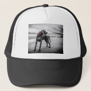 Weimaraner Dog Trucker Hat