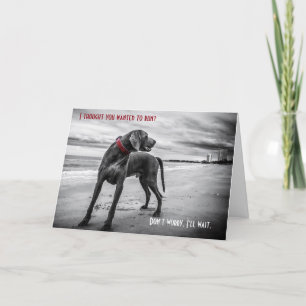Weimaraner funny birthday card
