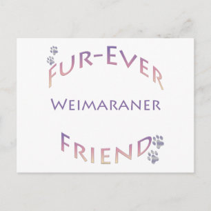 Weimaraner Furever Friend Postcard