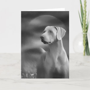 Weimaraner Greeting Card