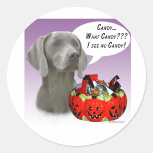Weimaraner Halloween Candy Classic Round Sticker